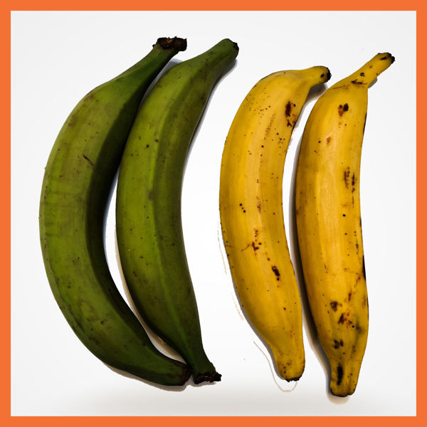 Picture of Plantain (Green/ Yellow/ Black) 3 for £1.20