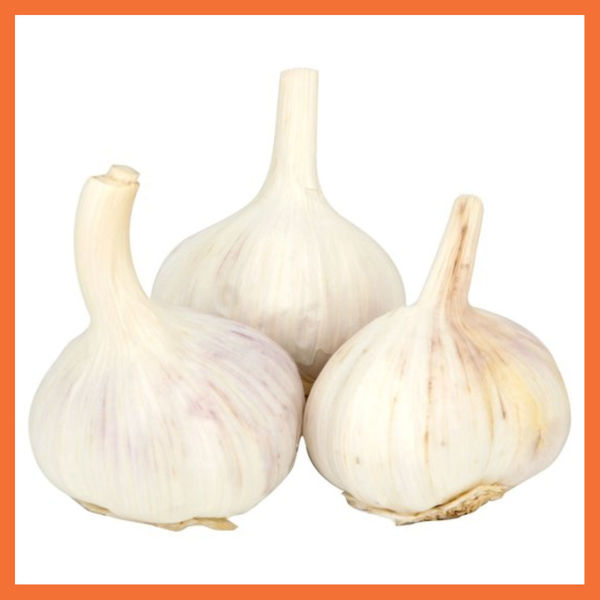 Picture of Fresh Garlic