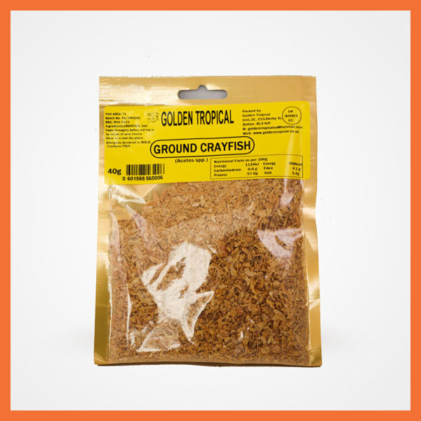 Picture of Ground Crayfish