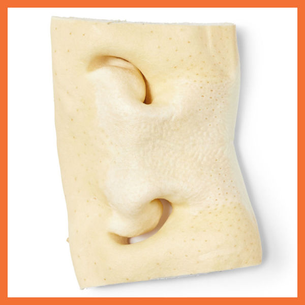 Picture of Beef Snout