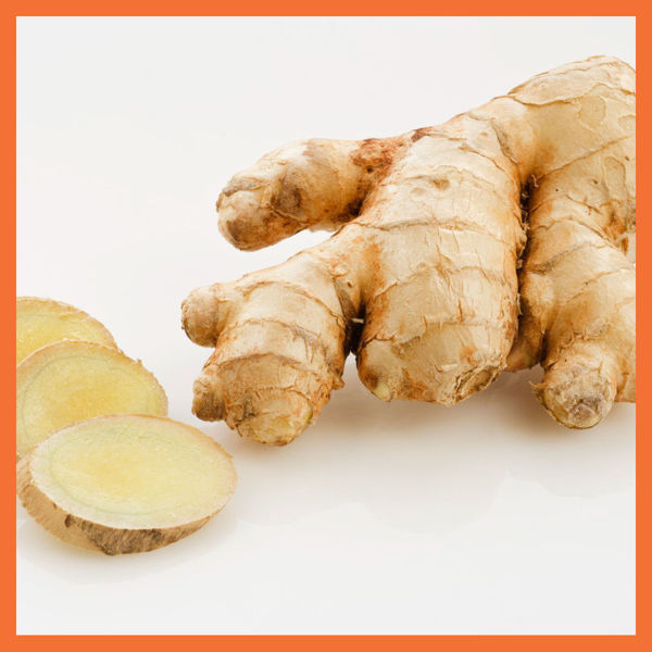 Picture of Fresh Ginger