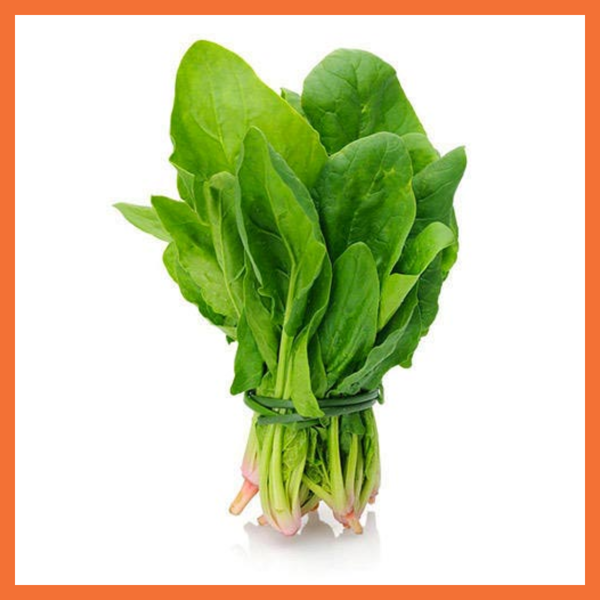 Picture of Fresh Spinach